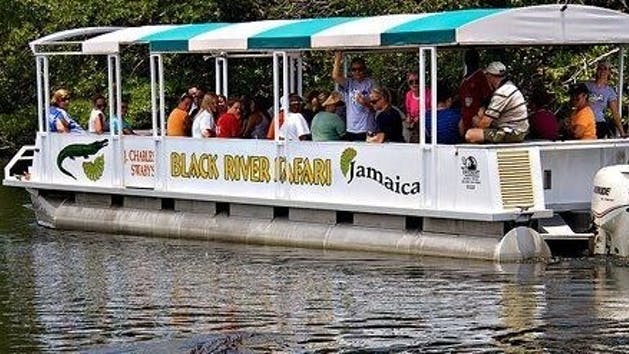 black-river-safari-ys-falls-and-appleton-rum-tour