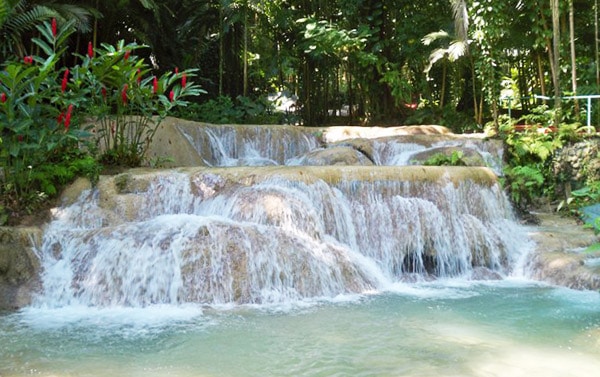 enchanted-garden-jamaica-ocho-rios-tour