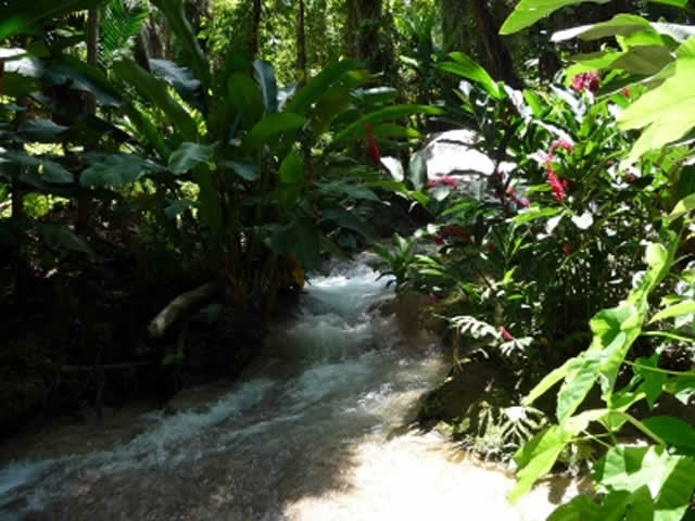 Enchanted Gardens Jamaica Tours-2