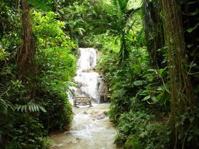 Enchanted Gardens Jamaica Tours-4