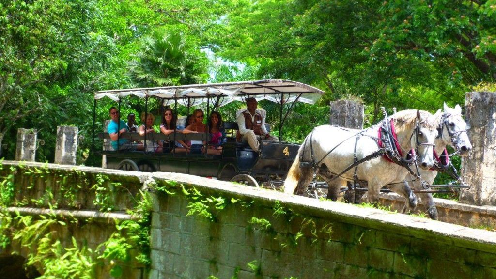 Dune Buggy Safari Jamaica Jamaica Quest Tours