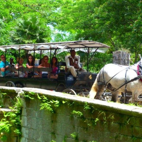 Dune Buggy Safari Jamaica Jamaica Quest Tours