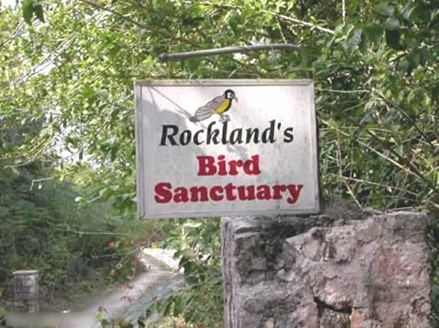 rocklands-bird-santuary-jamaica