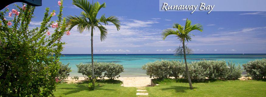 Kingston Airport Private Transfer To Runaway Bay Hotels