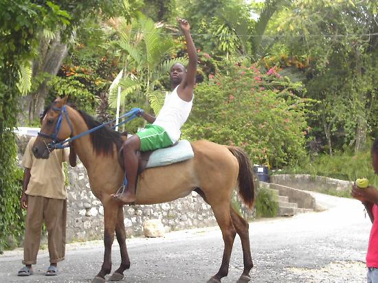 jamaica-get-away-travels-cranbrook-tour
