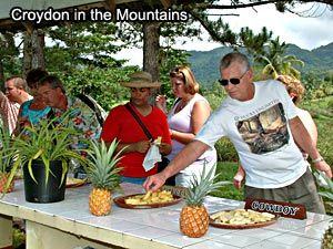 croydon-in-the-mountains-tour-from-montego-bay