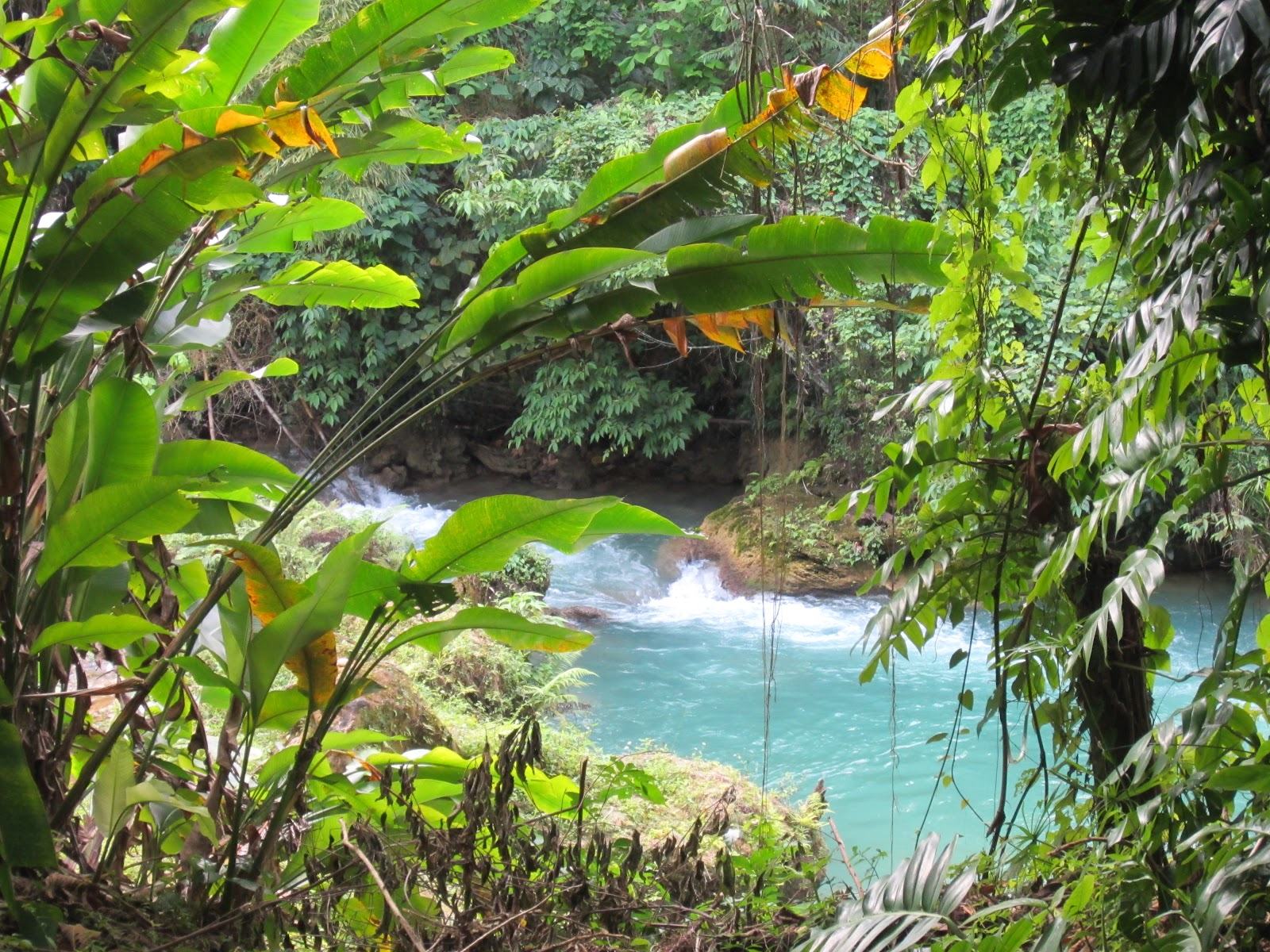 cranbrookflowergardennaturetourJamaica QuestTours Jamaica Quest