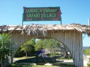 swamp safari