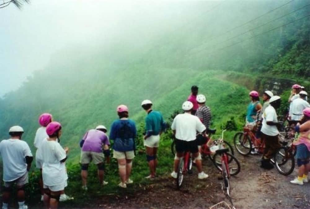 Private Transfer From Montego Bay To Blue Mountain Bicycle Tour