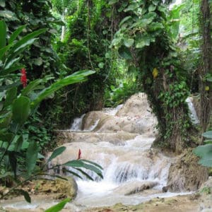 Enchanted Garden Jamaica Ocho Rios Tour Jamaica Quest Tours