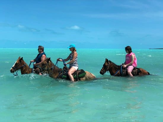 Heritage Beach Horse Ride Jamaica - Jamaica Quest Tours