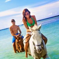 Come and explore Jamaica beautiful countryside on a horse back.Ride through the tropical forest on top of a gentle mare or a serene stallion.