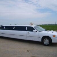 Your wedding day should be the most significant and memorable day of your life, so book your wedding limousine transfer with Jamaica Quest Tours and get the most luxurious and hassle-free transfer for you and yours on this your special day.