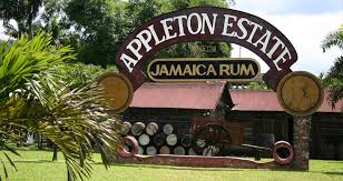 buy-appleton-jamaican-rum-online